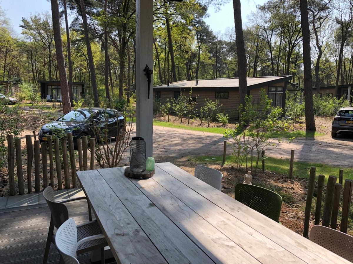 Casa vacanze Natuurhuisje Pine & Oak 6 Persoons Hardenberg