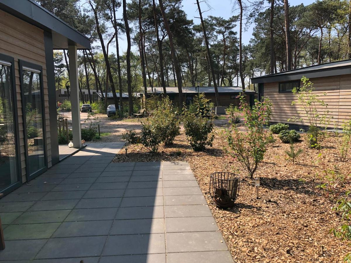 Natuurhuisje Pine & Oak 6 Persoons * Hardenberg