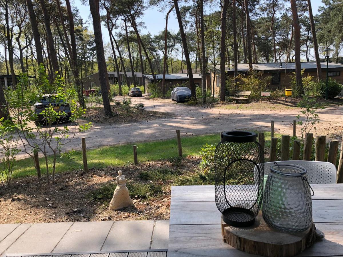 Natuurhuisje Pine & Oak 6 Persoons
