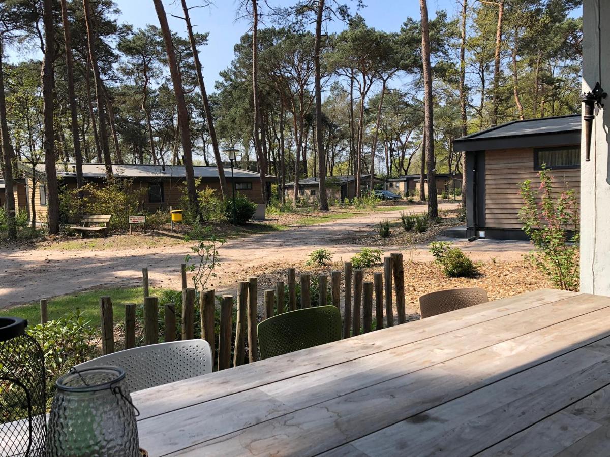 Casa vacanze Natuurhuisje Pine & Oak 6 Persoons *